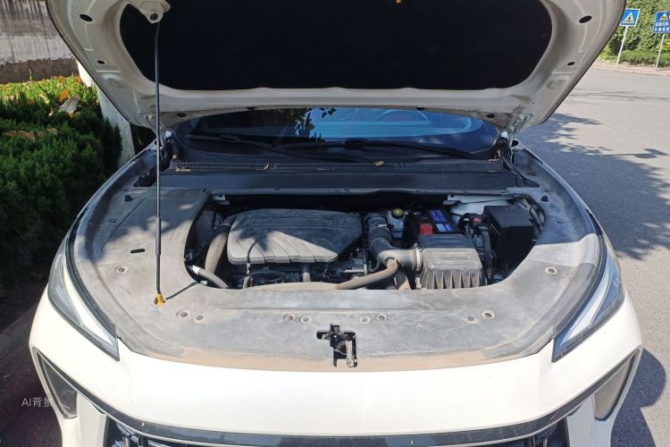 T5 EVO 2021 car image #22