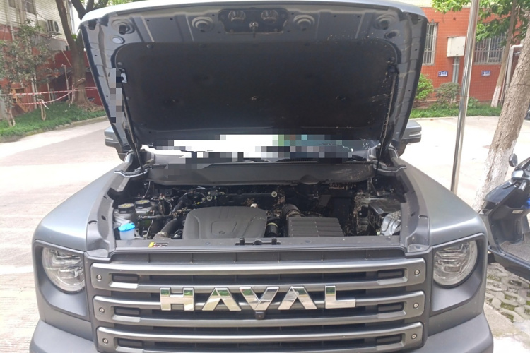 Haval Raptor 2024 immagine di auto #22