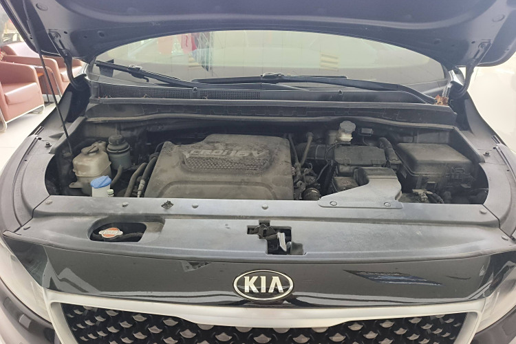 起亚 嘉华(进口) 2017 汽车图片 #22