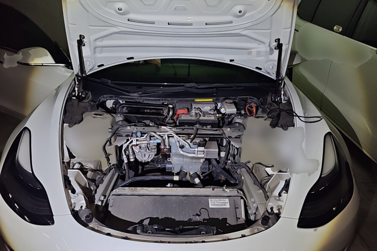 特斯拉 Model 3(进口) 2019 汽车图片 #22