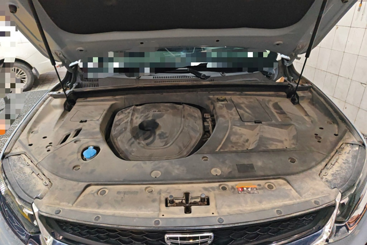 GEELY Tugella S 2021 car image #22