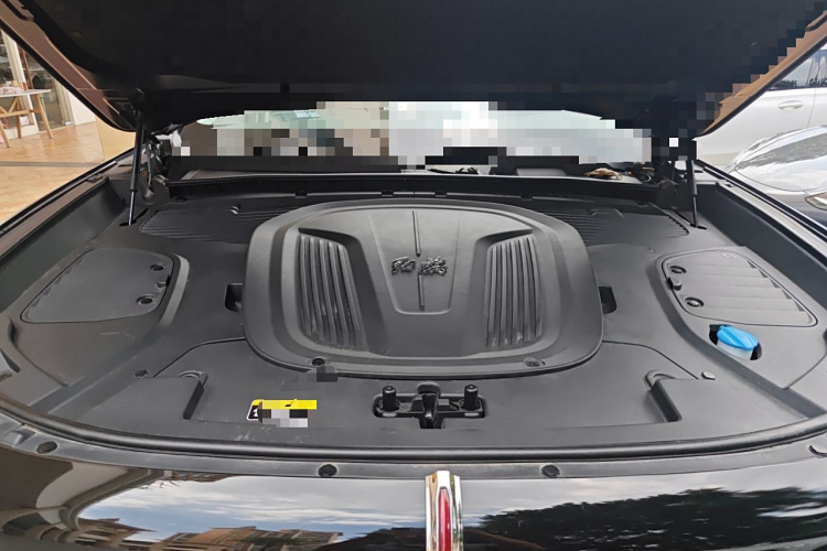 HongQi E-HS9 2022 car image #22