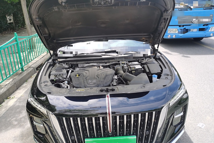 HongQi H5 2025 #22 HongQi H5 2025 immagine di auto #22