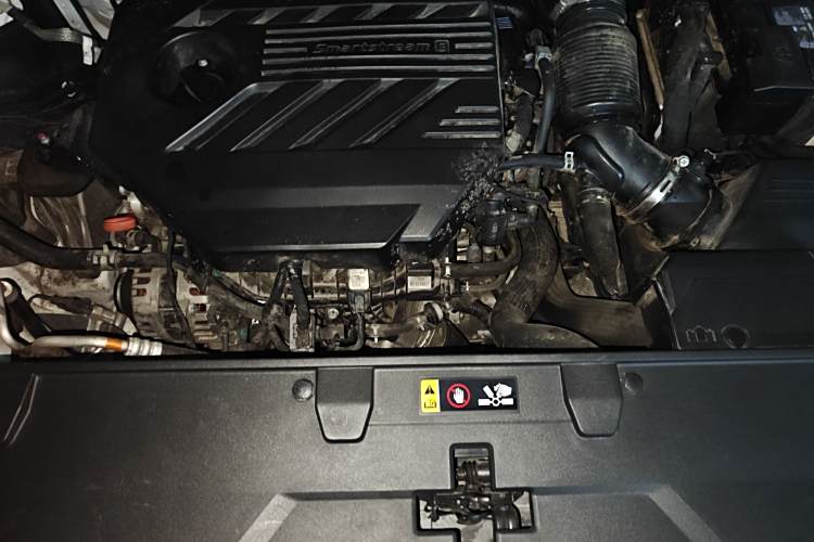 Kia Carnival 2021 immagine di auto #22