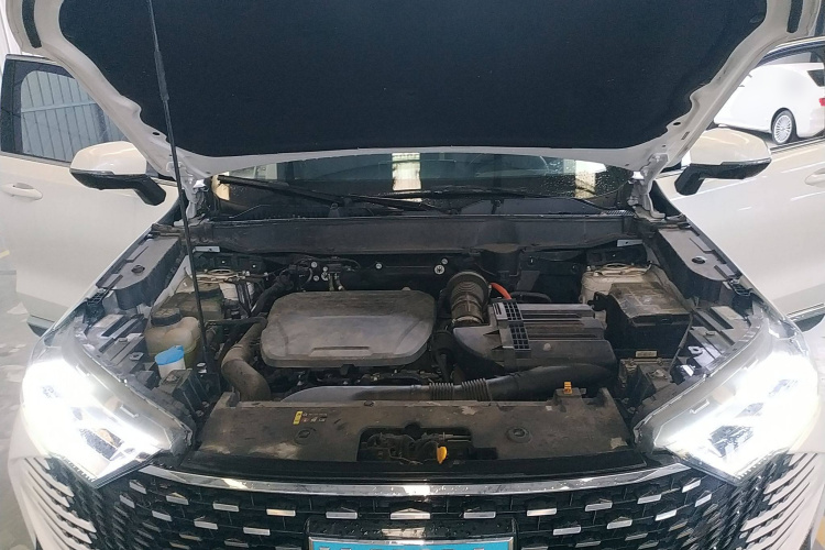 Haval H6 2022 immagine di auto #22