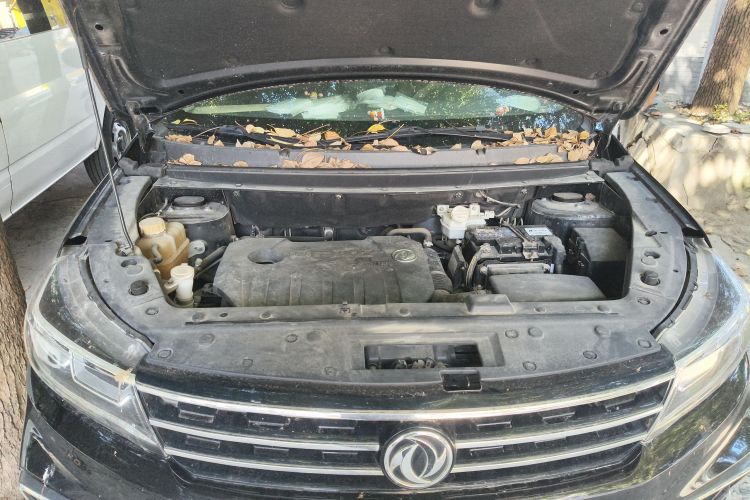 Forthing JOYEAR X5 2018 car image #22