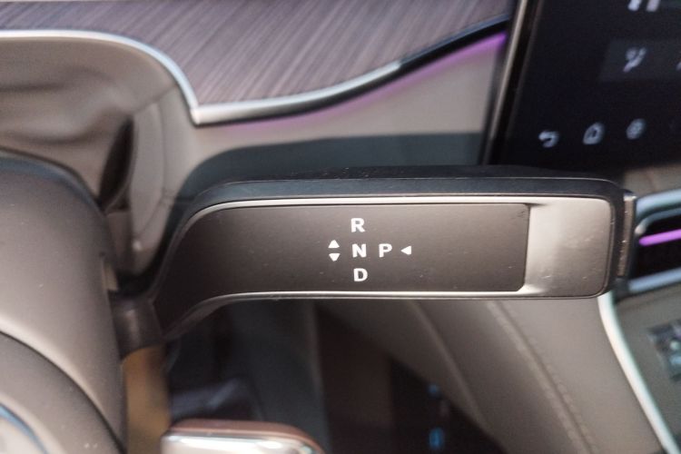 Denza N9 2025 immagine di auto #22