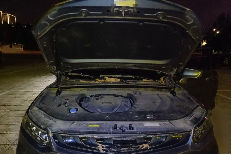 GEELY Tugella New Energy 2019 car image #22