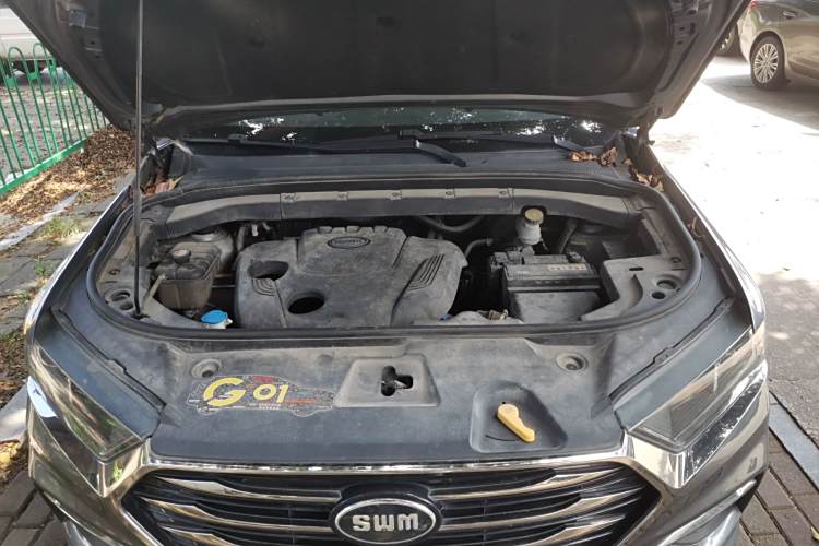 SWM斯威汽车 SWM斯威G01 2020 汽车图片 #22