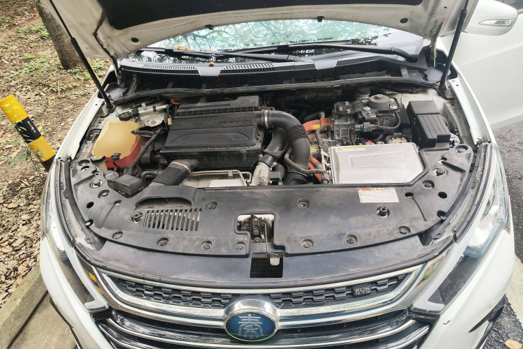 BYD Qin New Energy 2018 #22 BYD Qin New Energy 2018 car image #22