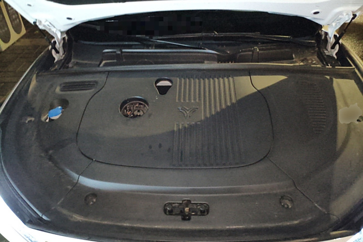 Neta L 2024 imagen de coche #22