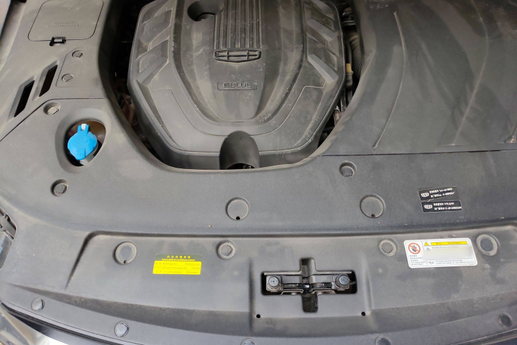 GEELY Tugella New Energy 2020 car image #22