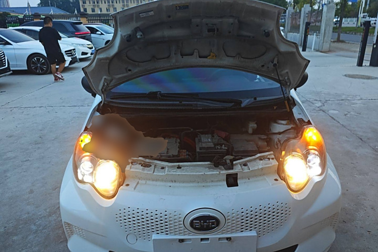 BYD e1 2019 car image #22