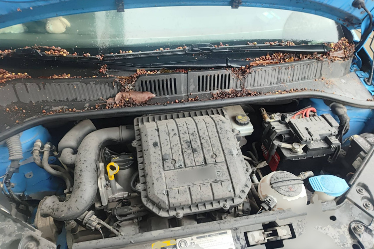 Volkswagen up! 2016 imagem de carro #22