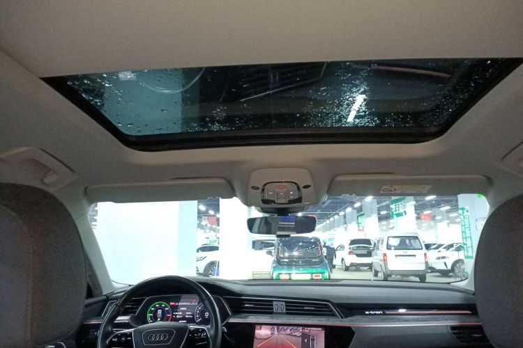 Audi e-tron (Imported) 2020 car image #22