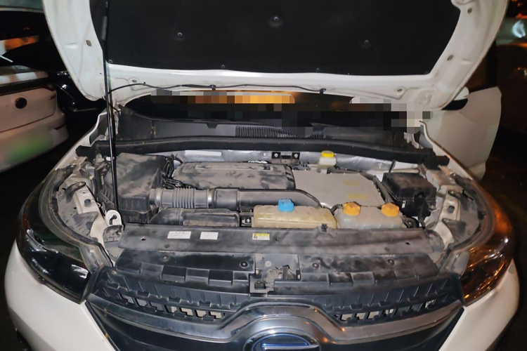 GAC Qizhi PHEV 2019 car image #22