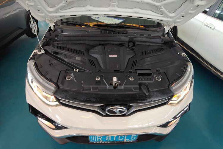 Soueast DX5 2021 car image #22