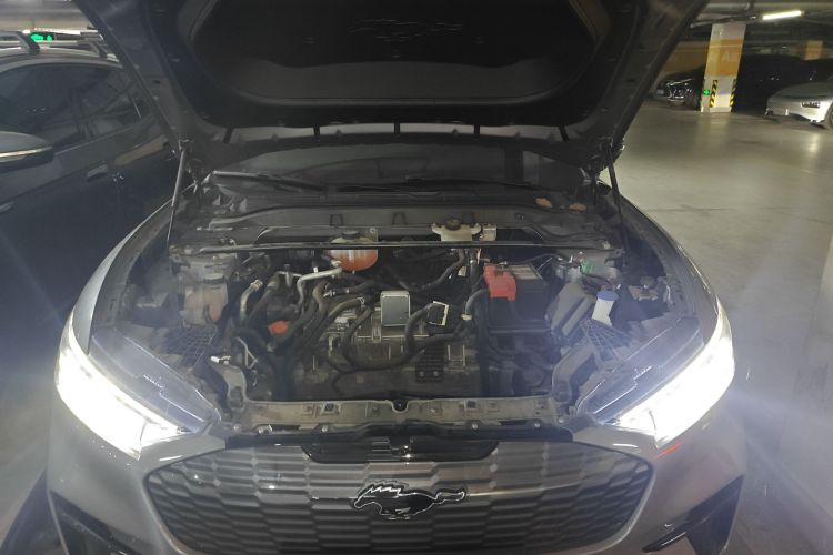 Ford Mustang Mach-E 2022 #22 Ford Mustang Mach-E 2022 car image #22