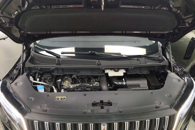 HongQi HQ9 2022 immagine di auto #22