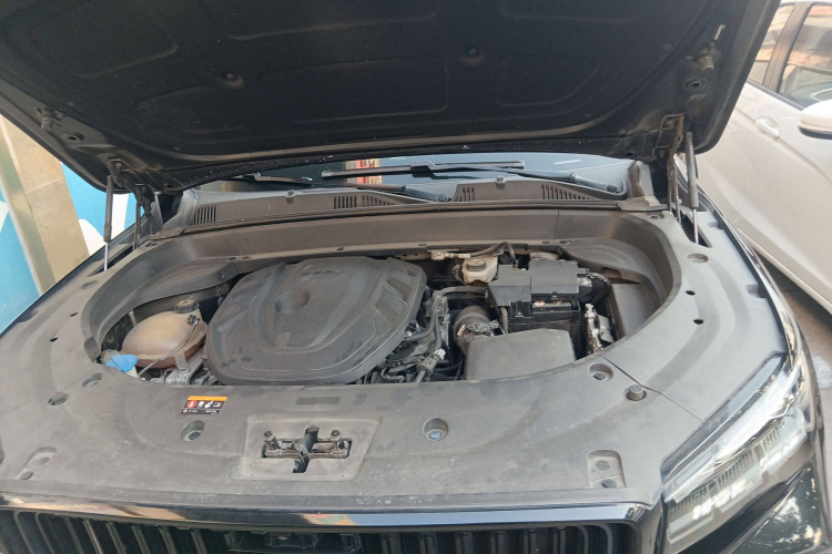 GEELY Tugella 2021 #22 GEELY Tugella 2021 car image #22