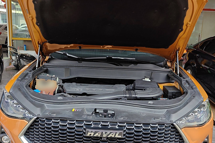 Haval F7 2019 car image #22