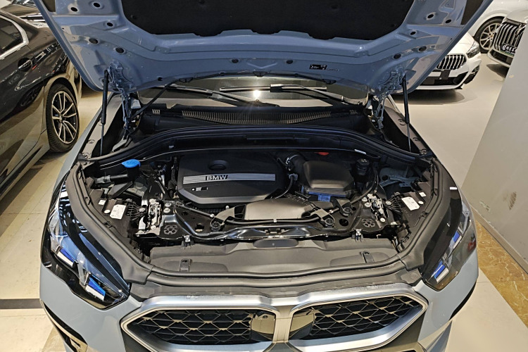 BMW X2 (Imported) 2024 imagen de coche #22