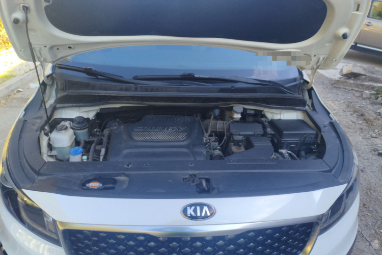 起亚 嘉华(进口) 2017 汽车图片 #22