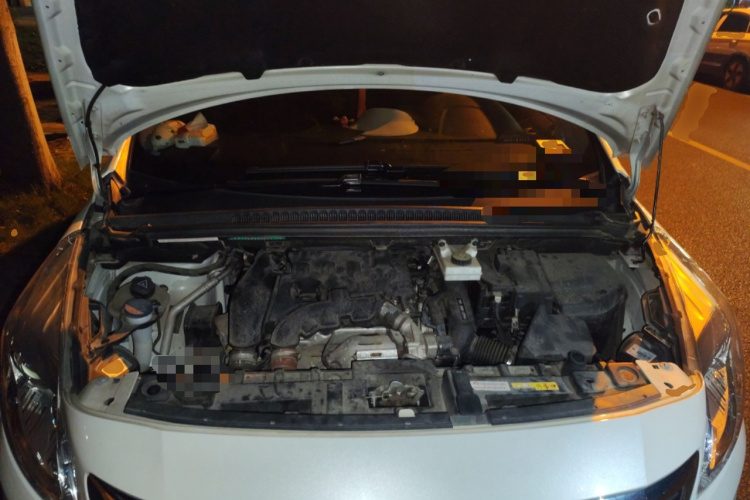 Peugeot 3008 2019 car image #22