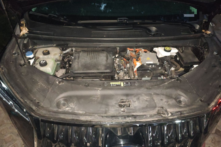 GAC Trumpchi E9 2023 #22 GAC Trumpchi E9 2023 car image #22