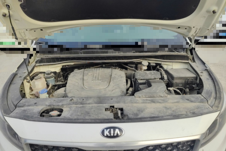 Kia Carnival (Imported) 2016 car image #22