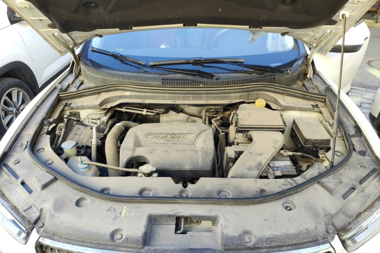 Haval H2s 2019 imagem de carro #22