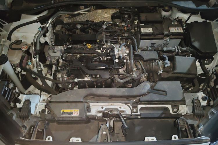 Toyota Frontlander 2024 #22 Toyota Frontlander 2024 immagine di auto #22