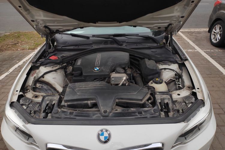 BMW 2 Series (Imported) 2016 car image #22