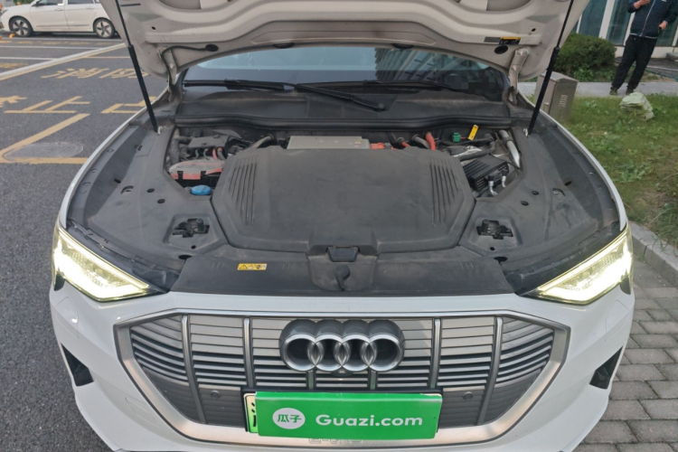 Audi e-tron (Imported) 2021 car image #22