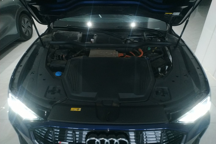 Audi e-tron (Imported) 2022 car image #22