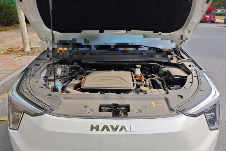 Haval Fierce Dragon 2024 car image #22