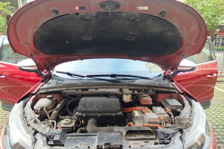 Denza X 2021 car image #22