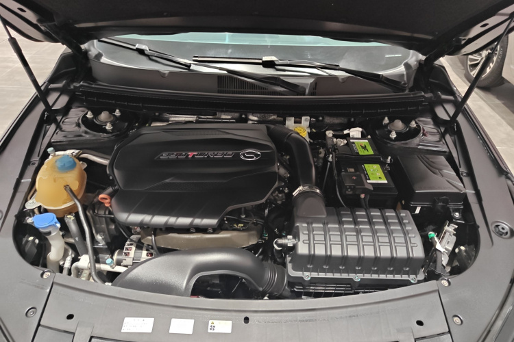 GAC Trumpchi GA8 2021 car image #22