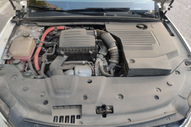 BYD Qin Pro New Energy 2019 car image #22