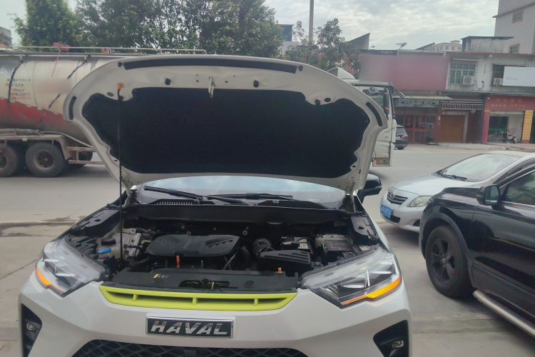 Haval H6S 2022 immagine di auto #22