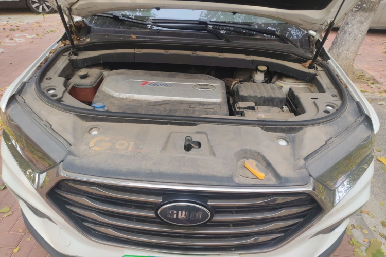 SWM斯威汽车 SWM斯威G01 2018 汽车图片 #22