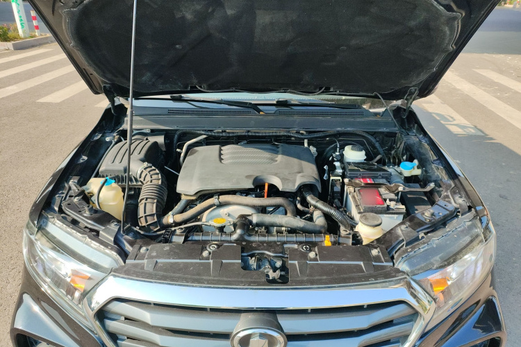 Great Wall Wingle 7 2020 car image #22