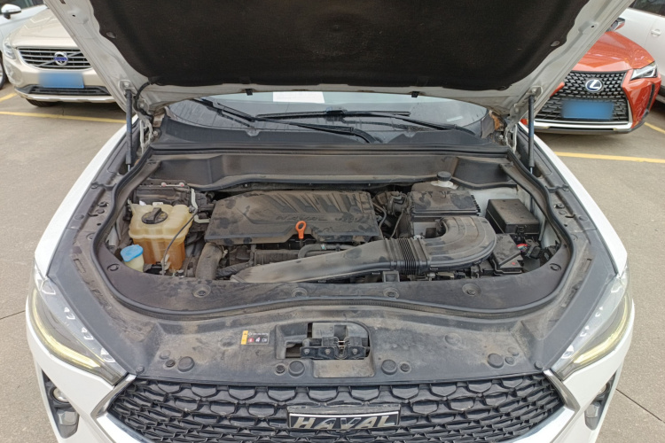 Haval F7x 2020 #22 Haval F7x 2020 car image #22