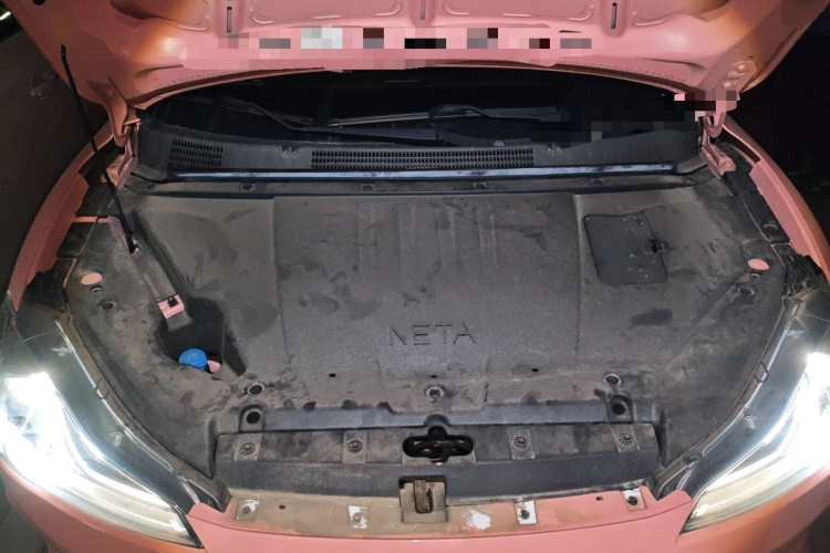 Neta V 2022 #22 Neta V 2022 изображение автомобиля #22