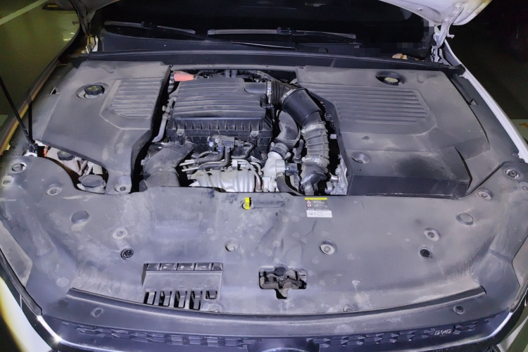 BYD Qin Pro 2020 car image #22