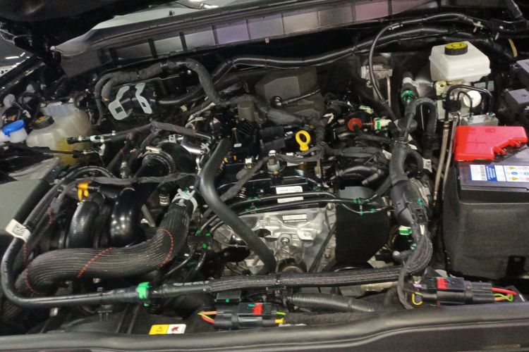 福特 福特烈马 2025 #22 福特 福特烈马 2025 汽车图片 #22