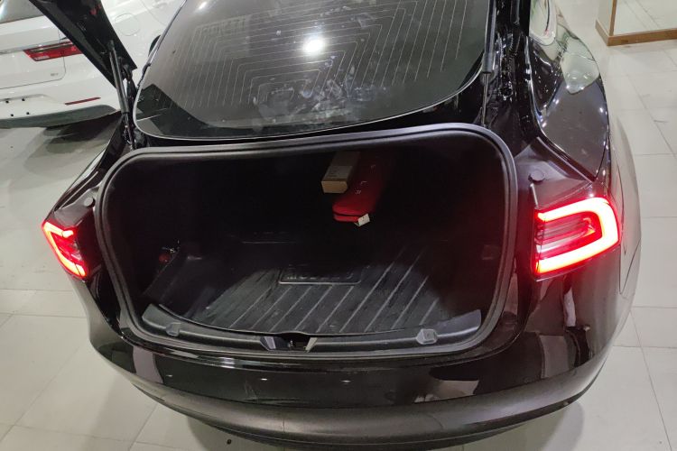 特斯拉 Model 3(进口) 2019 汽车图片 #22