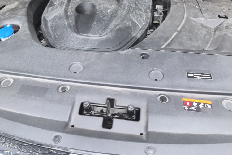 GEELY Tugella S 2021 car image #22