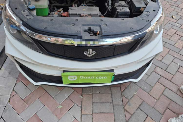 睿蓝汽车 枫叶30X 2021 汽车图片 #22