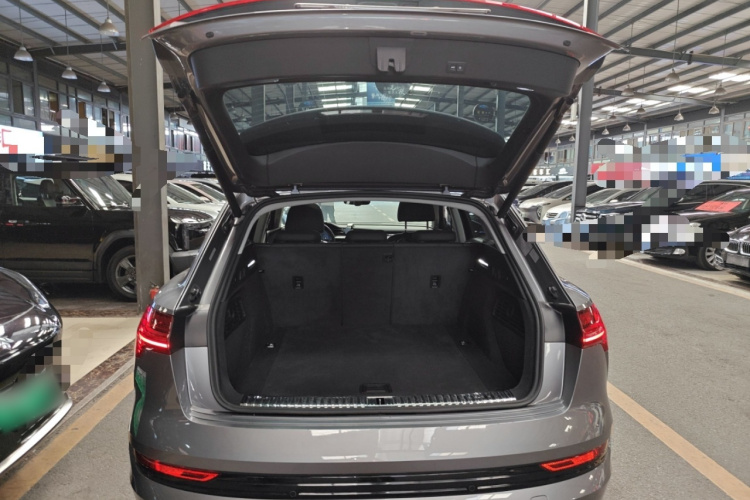 Audi e-tron (Imported) 2020 car image #22